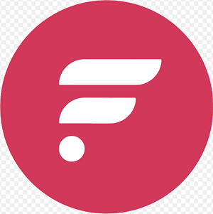 Flare logo